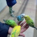 배울목장 이미지