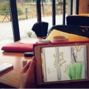 살롱드, 왈 이미지