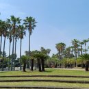 주상절리대 이미지