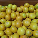 오서방네 농장 이미지