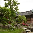 표충사 - 1903 | 표충사