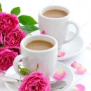 여니커피 이미지