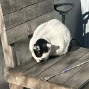 원이미장원 | 미장원 by 태현 | 청담 미용실 | 파마 머리 매직클리닉 후기 | 빅뱅 GD 미용실