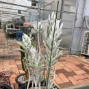 은월농장 이미지