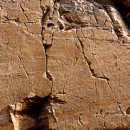 그림 속 고래가 살아 춤추다 이미지