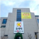 11650-16-94-8 | 남양주 애견동반 맛집 오리덕 북한강 프라이빗 룸 식당에서 힐링 후기