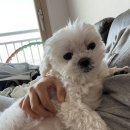팔봉각