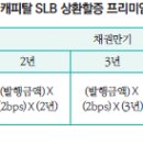 국내 지속가능연계채권(SLB) 시장의 현황과 과제 이미지