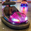 나비사주카페 | 처음인 사람 &amp; 놀이기구 못타는 사람의 에버랜드 후기 2탄 (코스 / 대기시간 / 식당 / 어트랙션...