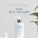 비손비격 네이버블로그