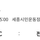 세종시민운동장 보조구장 이미지