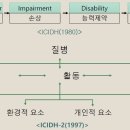 장애 개념의 변화(ICD-ICIDH-ICF) 이미지