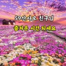 5.9토요일 바로일대장 한강공원트래킹(만원의행복) 이미지