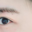 래쉬티비 이미지