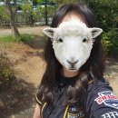 524 | 기아챔피언스필드 야구장 준비물 먹거리 포장음식 배달존 3루 524블록 좌석 후기