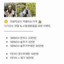엔비오오(NBOO)
