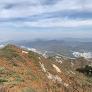 가장맛있는 족발 수락산점 이미지