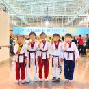 용인대예당태권도 이미지