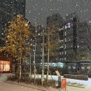 회사가 나를 힘들게 한다면 노무상담을 받으세요 성수 노무사 노무법인 소담 후기