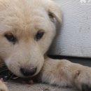 거성광고기획 - 당진시 | 거성광고기획