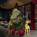 현대센트럴약국 | [다낭여행] 1일차 2일차 (모녀여행, 한시장 시세, 가성비호텔, 용다리쇼, 카로 프리미엄 호텔, 목식당...