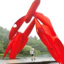 금대2길 6, (칠금동) | 원주 가볼만한곳 베스트10 완벽 정리 2024