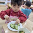 ☀️오이부추김치👩🏻‍🍳👨🏻‍🍳 이미지