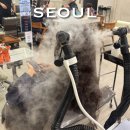 오른집 | 청담 강남구청역 미용실 손상모 클리닉 펌 염색 비오른헤어 솔직후기