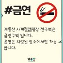 계룡산사계절2민박 | [계룡캠핑장] 충남 계룡 저수지뷰 힐링 캠핑장 “계룡산사계절캠핑장” 사이트 나6 후기