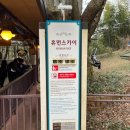 휴먼글로벌크루즈 이미지
