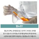 김은영내과의원 이미지