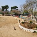 대경목장 이미지