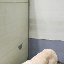 예인동물병원 이미지