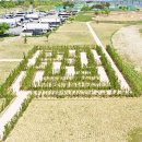 낙동가람 이미지