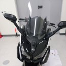 빅모터스 | 국산 300cc 빅스쿠터 DNA모터스 XQ300 시승 오토바이 &amp; 배터리 방전 및 정비 후기