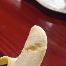 오붕닭