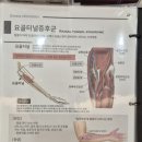 에스본한의원 이미지