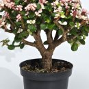 반석농장 이미지