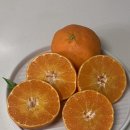 브리지팜 이미지