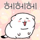 슬기로운사진관