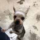 월포주유소 이미지