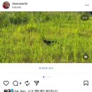 카카오스토리 | 카카오스토리(김도연 재밌어보여서)