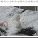 정재우행정사 사무소 이미지