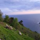 오빠가 간다 이미지