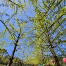 문화유산답사 | 경북 영주 세계문화유산 부석사 방문 후기