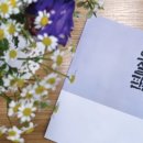 도울마트