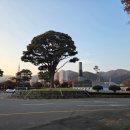 화순 하니움문화스포츠센터 문화광장 이미지