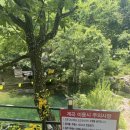 방가로 | 가평 계곡 방가로 대여후기 (가람계곡펜션) 하루종일 놀고온 후기(준비물 포함)
