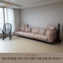 A0214 | 반려동물과 함께 사는 집이라면, 대전 소파·가구는 여기서 보세요!