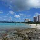 에이스렌트카 이미지